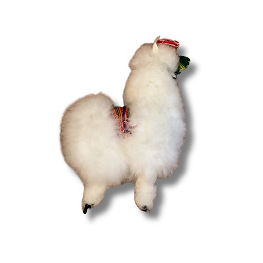 Alpaca from Peruvian Alpaca wool (2)